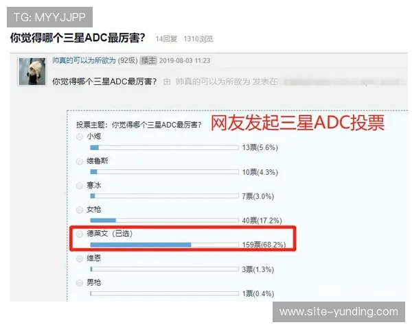 云顶投票官网入口官方入口推荐，快速找到最安全的投票通道