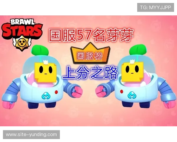 云顶4008游戏最新攻略与玩法详解，助你轻松上分