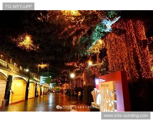 云顶赌场门口的环境卫生管理与游客体验提升策略