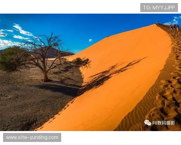 南非最大的赌场:探索非洲博彩业的璀璨明珠 南非最大的赌场:探索非洲博彩业的璀璨明珠