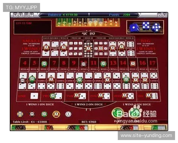 新手必看骰宝游戏入门指南，从基础规则到高级技巧全面覆盖助你快速上手