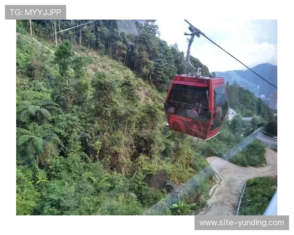 马来西亚赌场云顶网上平台用户体验优化与客户服务体系分析