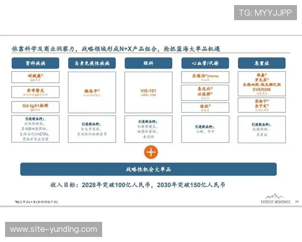 云顶投资有限公司的全面介绍与未来发展战略分析